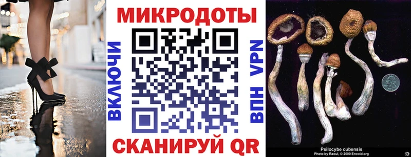Псилоцибиновые грибы прущие грибы  Купить  Невель 