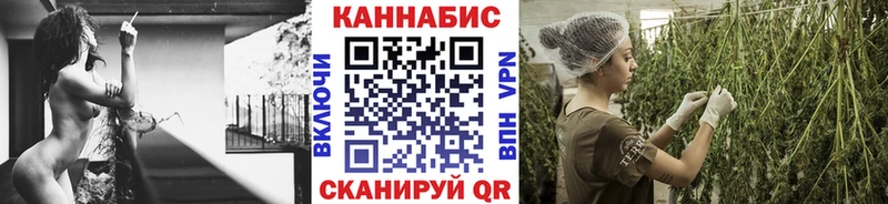 Бошки Шишки семена  Купить  Невель 